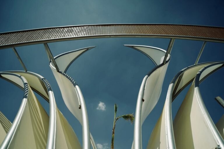 WhatsApp Image 2023-03-27 at 1.37.49 PM (1)